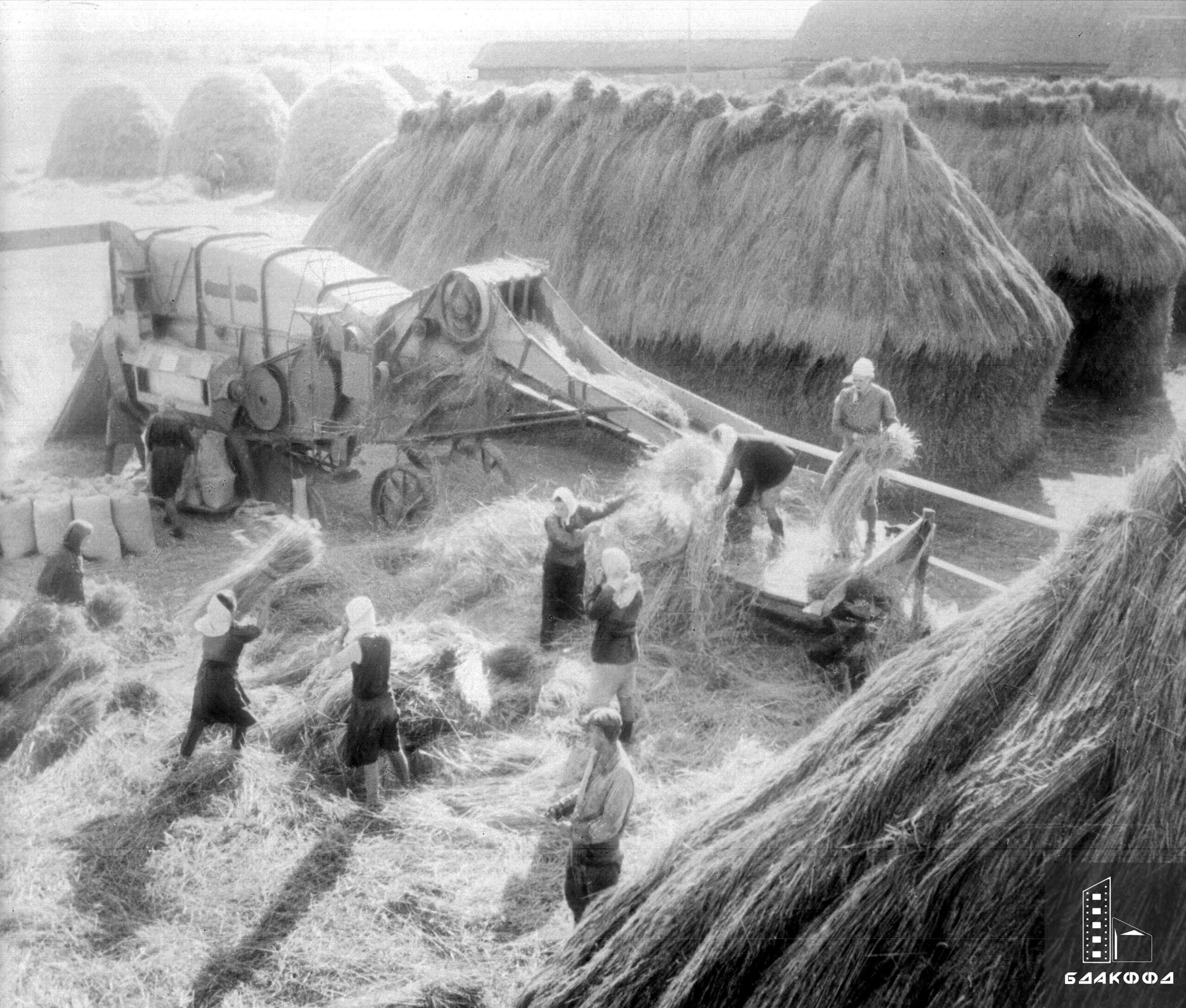 Threshing at the Rassvet collective farm in the Kirovsky district of the Bobruisk region-с. 0